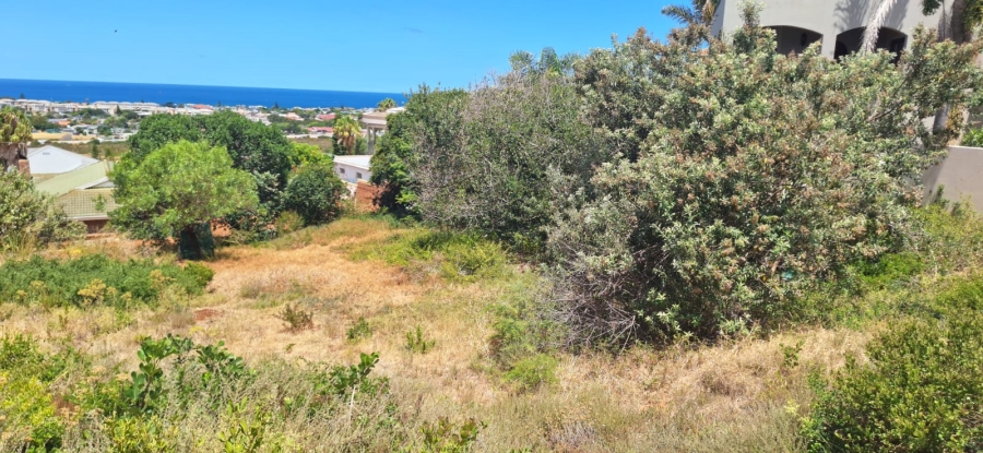 0 Bedroom Property for Sale in Hartenbos Heuwels Western Cape